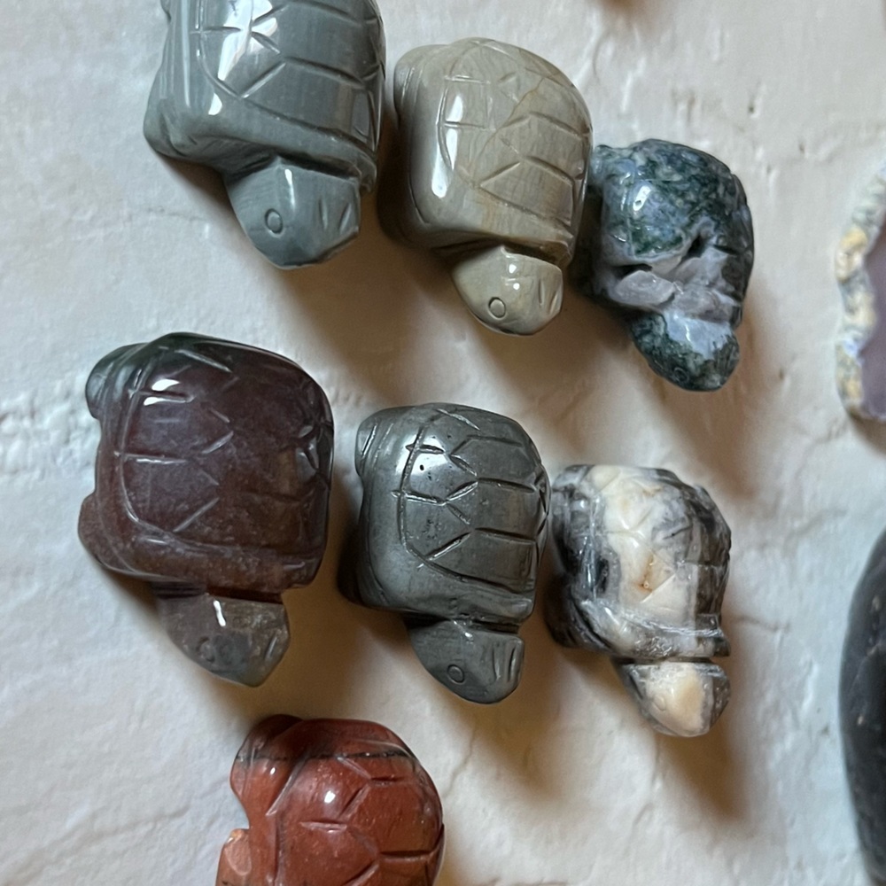 Turtle Carving - Picture 4 of 16